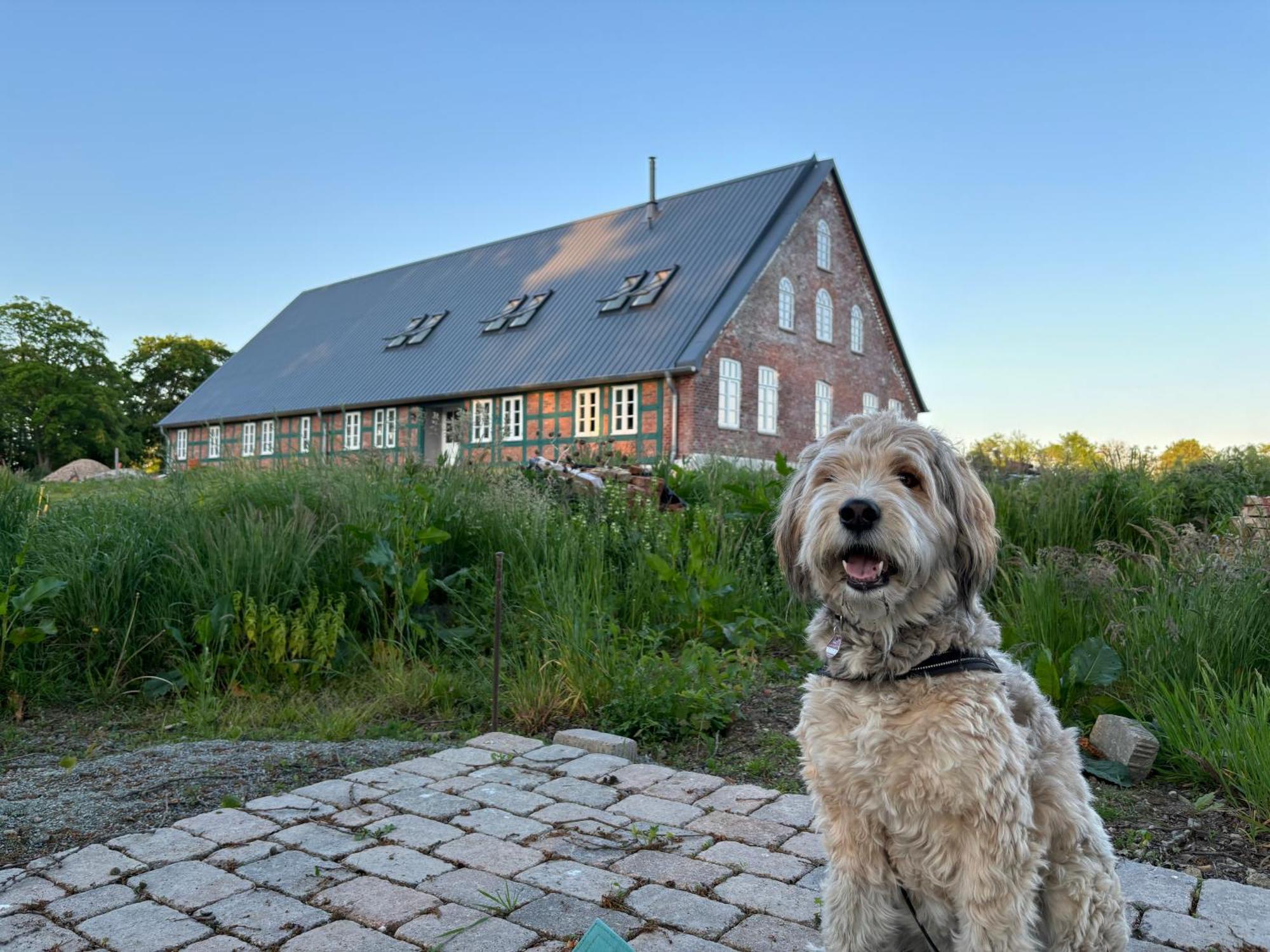 Niedersaechsisches Hallenhaus Im Modernen Gewand Lilienthal  Extérieur photo